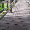 As we began walking back, our friendly monkey kept watching us. Ao começarmos o trajeto de volta, nosso amigo macaquinho continua a nos olhar.